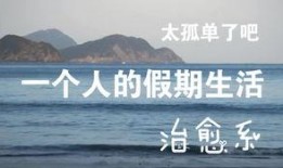 一个人的假期在线观看,在线观影之旅的精彩瞬间